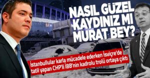 Next Post Image